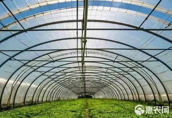 专营大棚材料 打造高效蔬菜种植与养殖的坚实骨架